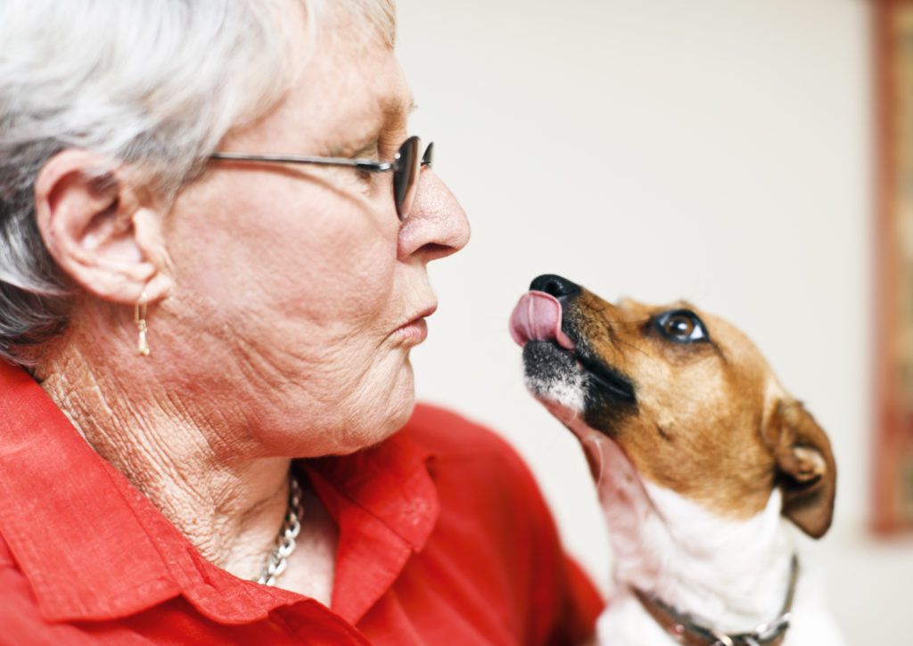 An elderly woman with her companion dog